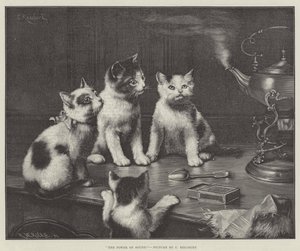 De Kracht van Geluid door Carl Reichert